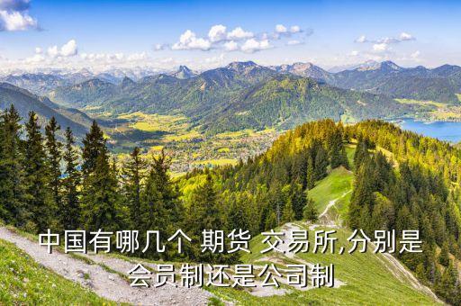 中國金融期貨交易所組織結(jié)構圖