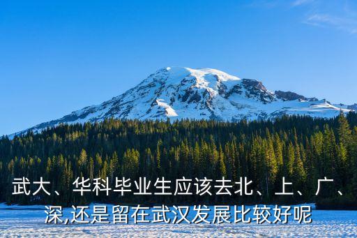武大、華科畢業(yè)生應(yīng)該去北、上、廣、深,還是留在武漢發(fā)展比較好呢