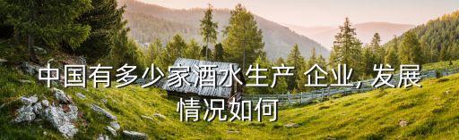 中國有多少家酒水生產 企業(yè), 發(fā)展情況如何