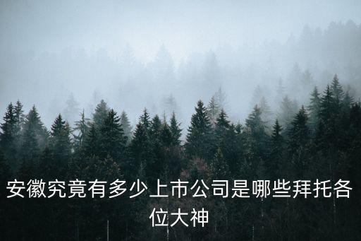 蕪湖港儲運股份有限公司網(wǎng)站