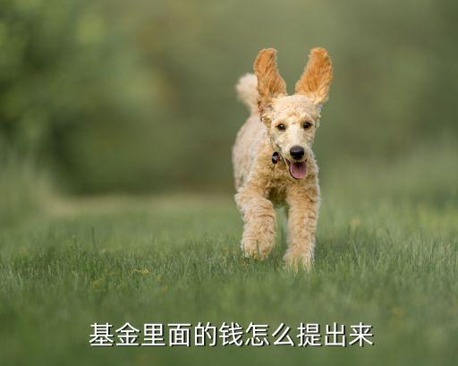 天天基金活期寶里的錢(qián)怎么取不了