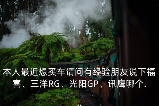 本人最近想買車請問有經(jīng)驗(yàn)朋友說下福喜、三洋RG、光陽GP、訊鷹哪個(gè)...