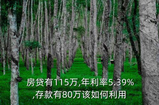  房貸有115萬(wàn),年利率5.39%,存款有80萬(wàn)該如何利用
