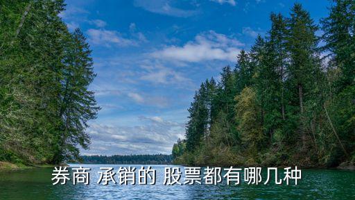 券商 承銷(xiāo)的 股票都有哪幾種