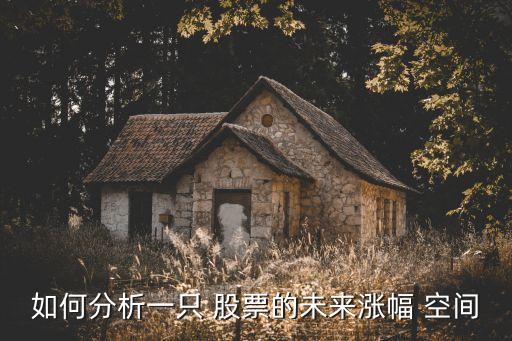 如何分析一只 股票的未來(lái)漲幅 空間