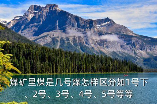  煤礦里煤是幾號(hào)煤怎樣區(qū)分如1號(hào)下、2號(hào)、3號(hào)、4號(hào)、5號(hào)等等