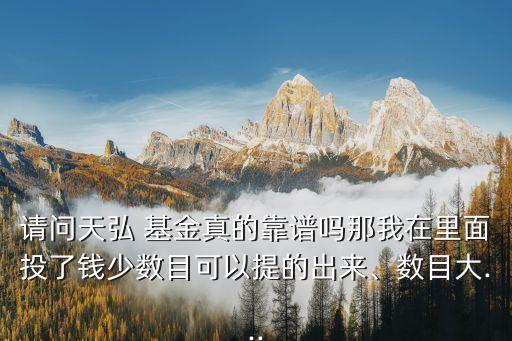請(qǐng)問天弘 基金真的靠譜嗎那我在里面投了錢少數(shù)目可以提的出來、數(shù)目大...