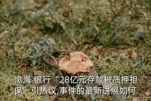 渤海 銀行“28億元存款被質(zhì)押擔?！币裏嶙h,事件的最新進展如何