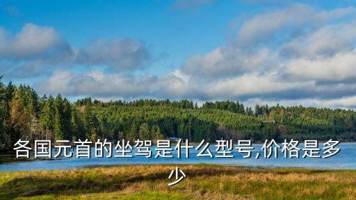 各國元首的坐駕是什么型號,價(jià)格是多少