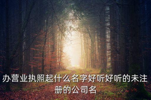 辦營(yíng)業(yè)執(zhí)照起什么名字好聽(tīng)好聽(tīng)的未注冊(cè)的公司名
