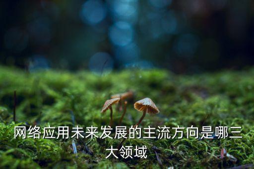 2012中國效果廣告網絡市場專題研究