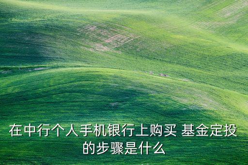 在中行個人手機(jī)銀行上購買 基金定投的步驟是什么