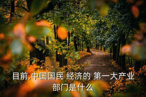 目前,中國(guó)國(guó)民 經(jīng)濟(jì)的 第一大產(chǎn)業(yè)部門(mén)是什么