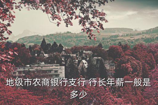 地級市農(nóng)商銀行支行 行長年薪一般是多少