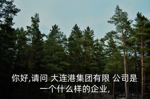 你好,請問 大連港集團(tuán)有限 公司是一個(gè)什么樣的企業(yè),
