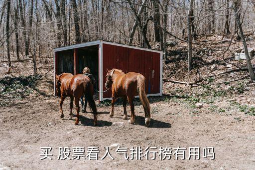 股票關(guān)注排名,汽車(chē)股票排名前十名