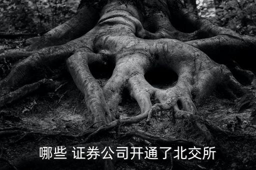 上海華泰聯(lián)合證券,華泰聯(lián)合證券有限責任公司