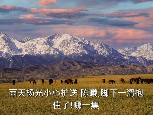 北京人民銀行總行陳曦,人民銀行上?？偛亢捅本┛傂袇^(qū)別
