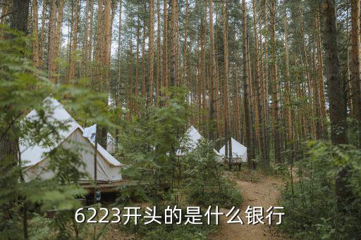6223開(kāi)頭的是什么銀行