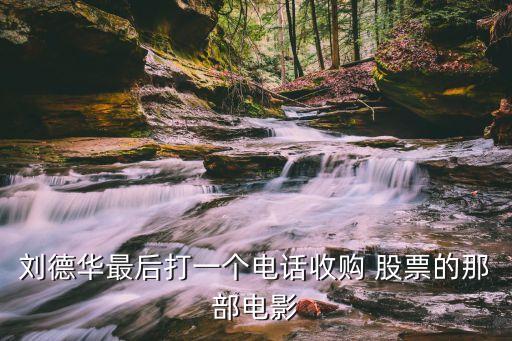 劉德華最后打一個(gè)電話(huà)收購(gòu) 股票的那部電影