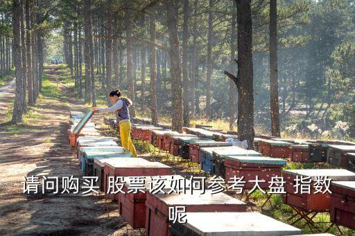 怎么買(mǎi)股票指數(shù),買(mǎi)股票指數(shù)能賺多少