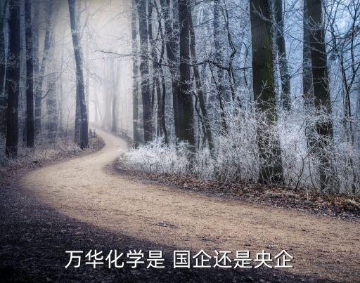 萬華化學是 國企還是央企