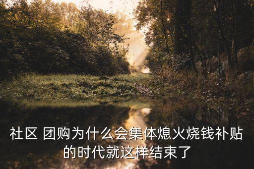 社區(qū) 團(tuán)購(gòu)為什么會(huì)集體熄火燒錢(qián)補(bǔ)貼的時(shí)代就這樣結(jié)束了