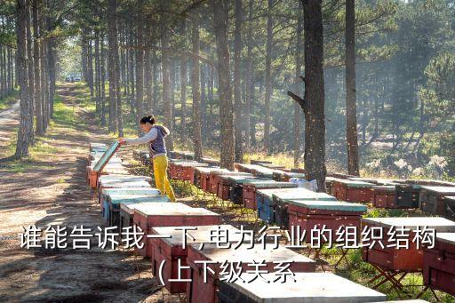 誰能告訴我一下,電力行業(yè)的組織結構(上下級關系