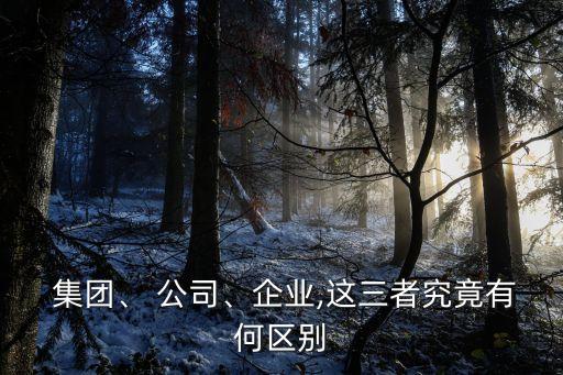  集團(tuán)、 公司、企業(yè),這三者究竟有何區(qū)別