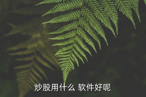 大贏(yíng)家股票軟件,雙色球計(jì)劃大贏(yíng)家軟件