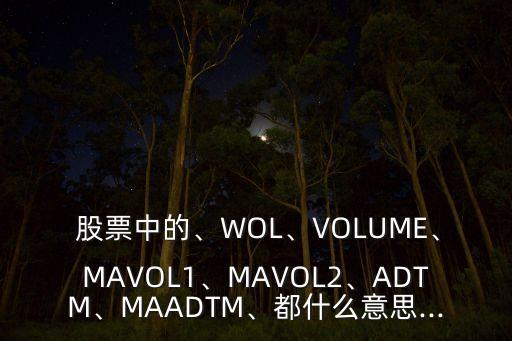  股票中的、WOL、VOLUME、MAVOL1、MAVOL2、ADTM、MAADTM、都什么意思...
