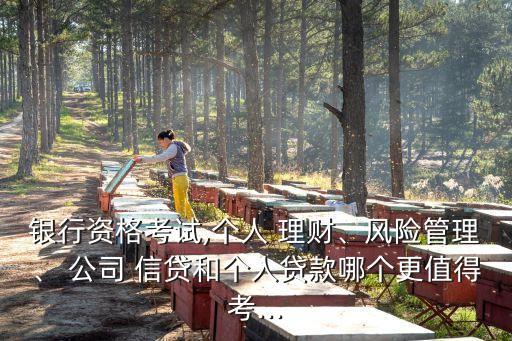 銀行資格考試,個(gè)人 理財(cái)、風(fēng)險(xiǎn)管理、 公司 信貸和個(gè)人貸款哪個(gè)更值得考...