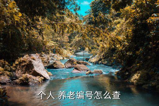 個(gè)人 養(yǎng)老編號怎么查