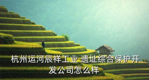  杭州運河辰祥工業(yè) 遺址綜合保護(hù)開發(fā)公司怎么樣