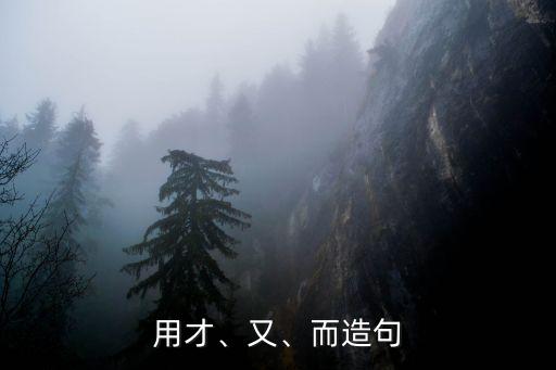 用才、又、而造句