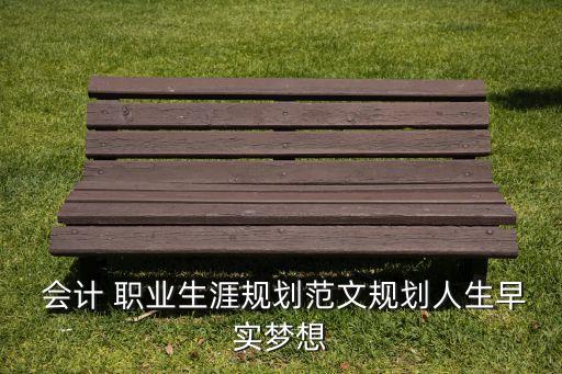  會(huì)計(jì) 職業(yè)生涯規(guī)劃范文規(guī)劃人生早實(shí)夢(mèng)想