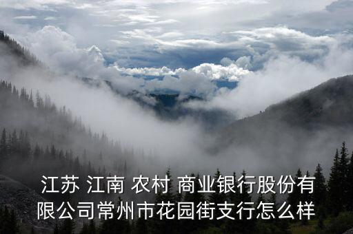  江蘇 江南 農村 商業(yè)銀行股份有限公司常州市花園街支行怎么樣