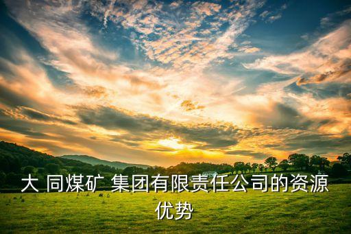 大 同煤礦 集團有限責(zé)任公司的資源優(yōu)勢