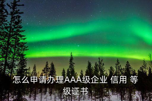 中國互聯(lián)網(wǎng)協(xié)會企業(yè)信用等級評價(jià)的程序