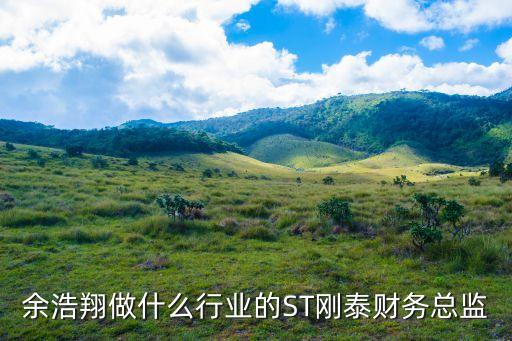 余浩翔做什么行業(yè)的ST剛泰財務總監(jiān)