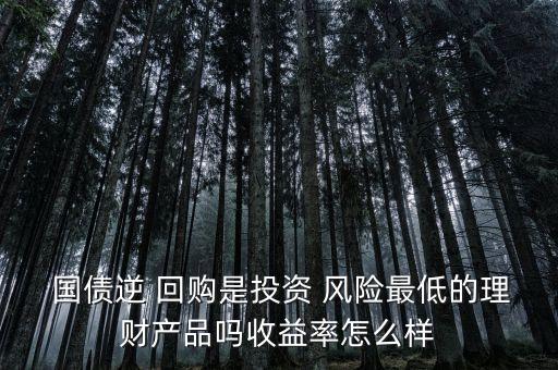  國(guó)債逆 回購(gòu)是投資 風(fēng)險(xiǎn)最低的理財(cái)產(chǎn)品嗎收益率怎么樣