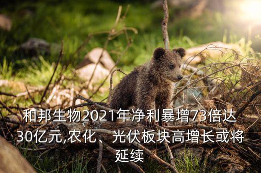 和邦生物2021年凈利暴增73倍達30億元,農(nóng)化、光伏板塊高增長或?qū)⒀永m(xù)