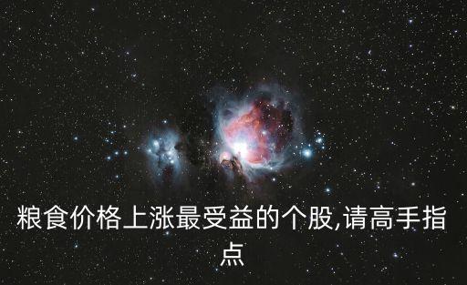 糧食價(jià)格上漲最受益的個(gè)股,請高手指點(diǎn)
