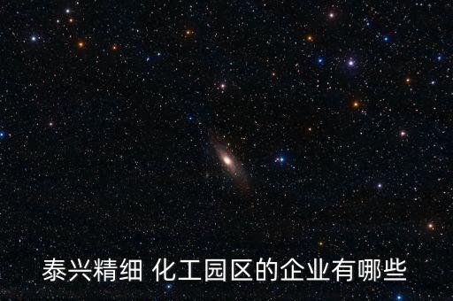 泰興精細 化工園區(qū)的企業(yè)有哪些
