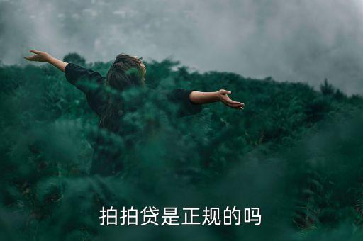 上海自貿區(qū)貸款,上海臨港自貿區(qū)