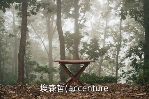 重慶畢馬威軟件公司,重慶中聯軟件公司怎么樣