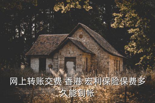 網上轉賬交費 香港 宏利保險保費多久能到帳