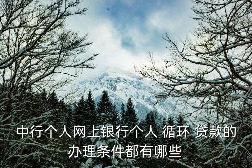 中行個人網上銀行個人 循環(huán) 貸款的辦理條件都有哪些