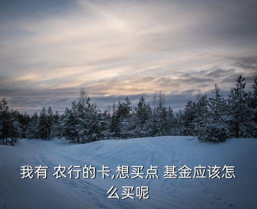 農(nóng)行網(wǎng)銀買(mǎi)基金手續(xù)費(fèi),農(nóng)行企業(yè)網(wǎng)銀跨行轉(zhuǎn)賬手續(xù)費(fèi)