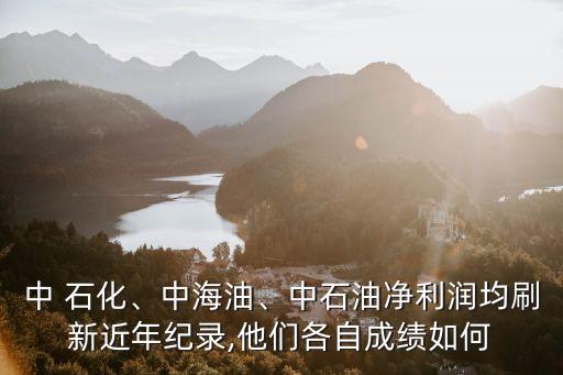 中 石化、中海油、中石油凈利潤均刷新近年紀錄,他們各自成績?nèi)绾? class=